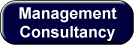 Management Consultancy for the 21st Century. We can advise you on business development and the effect e-business will have on your future.